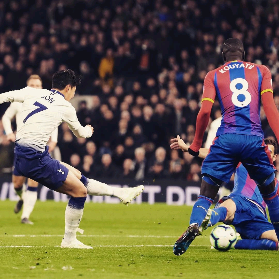 的執教經歷 的執教經歷